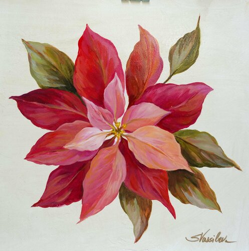 Christmas Poinsettia di Silvia Vassileva, Opera su carta in vendita su Singulart