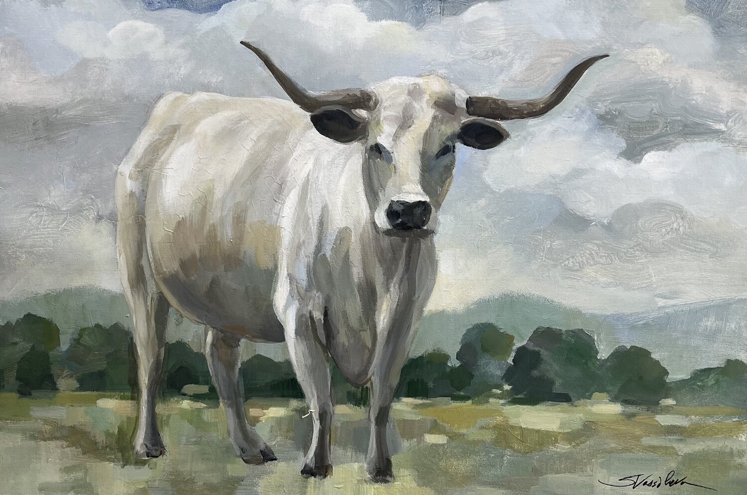 White Longhorn Cow Silvia Vassileva