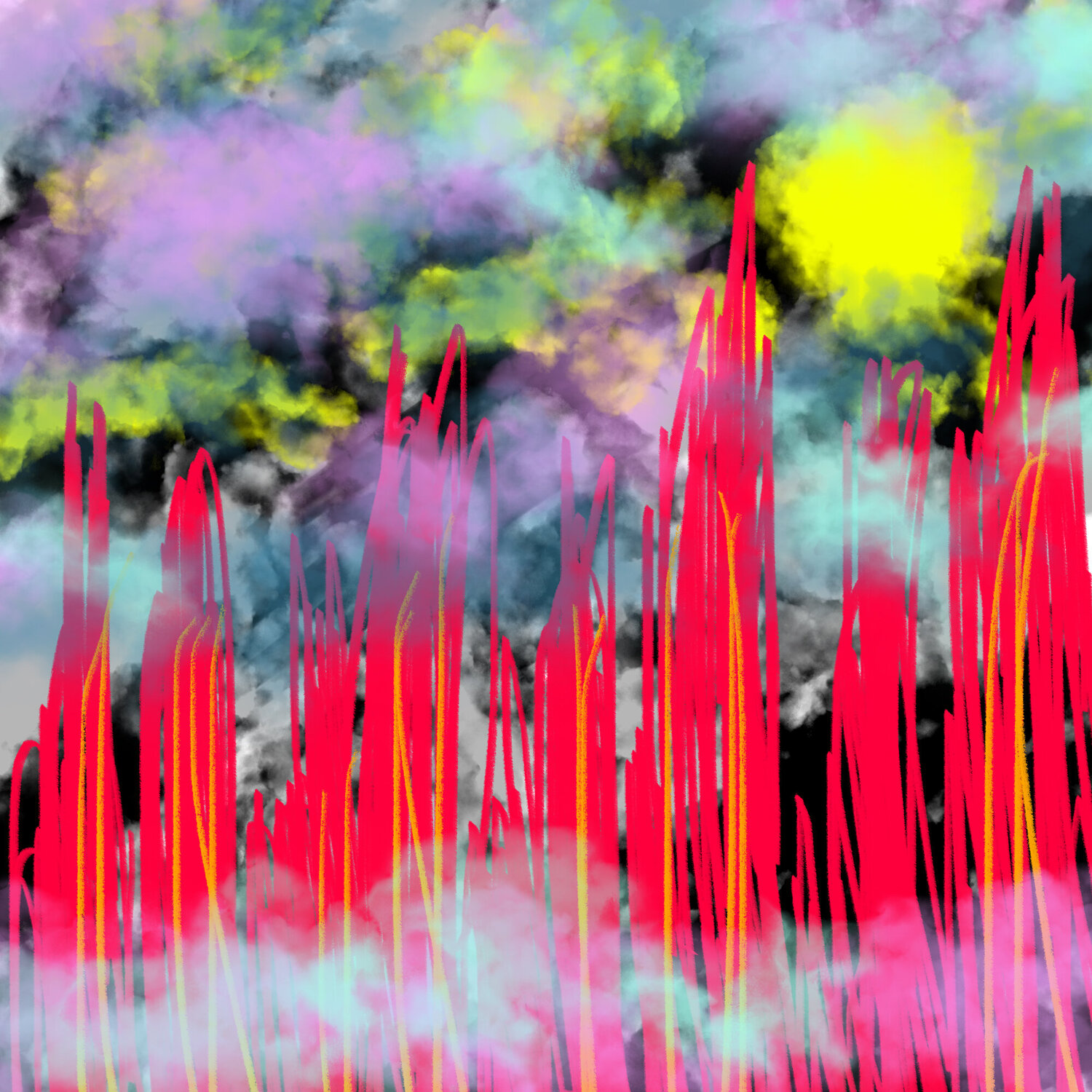 Lichter des Abends Steven Elijah Neuhaus