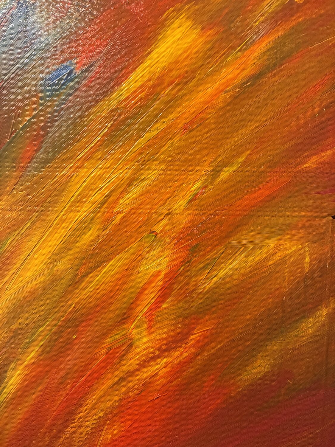 Das orangere Licht Steven Elijah Neuhaus