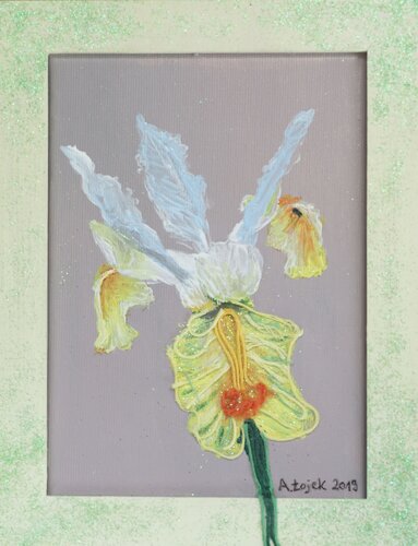 A painting of Iris van Aleksandra Łojek-Szymanowska, Schilderij te koop op Singulart