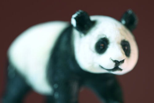 Panda by Julien CHADAIGNE, Photography for Sale on Singulart