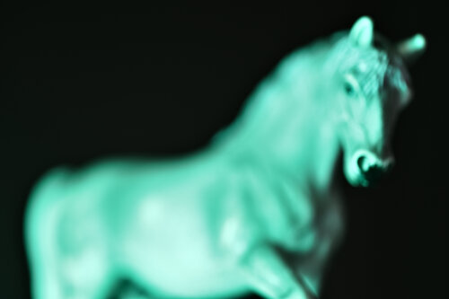 Cheval by Julien CHADAIGNE, Photography for Sale on Singulart