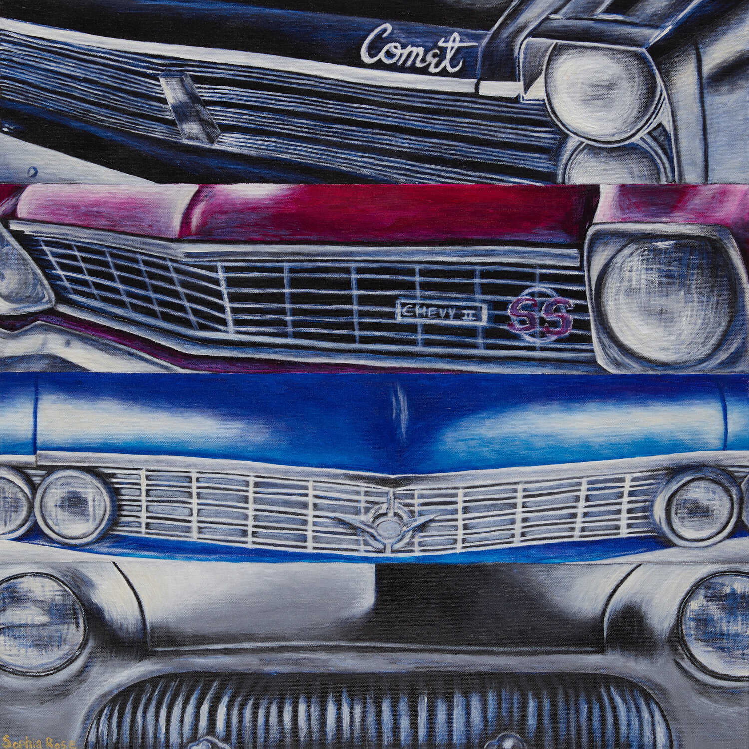 Space Race Sophia Rose