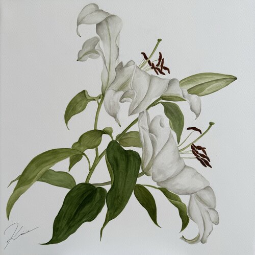 White lilies van Kimie Hanamura, Werk op papier te koop op Singulart