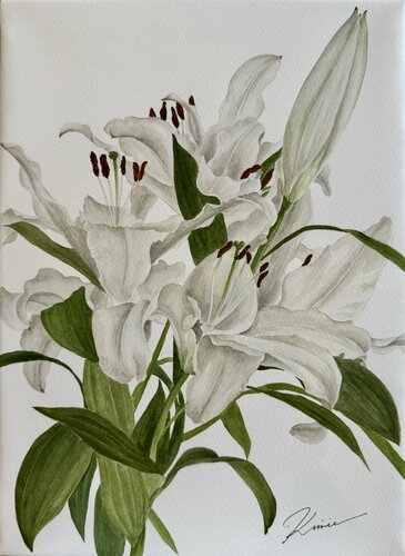 White lilies van Kimie Hanamura, Werk op papier te koop op Singulart