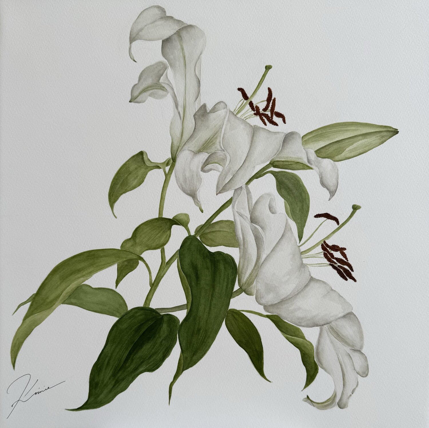 White lilies Kimie Hanamura