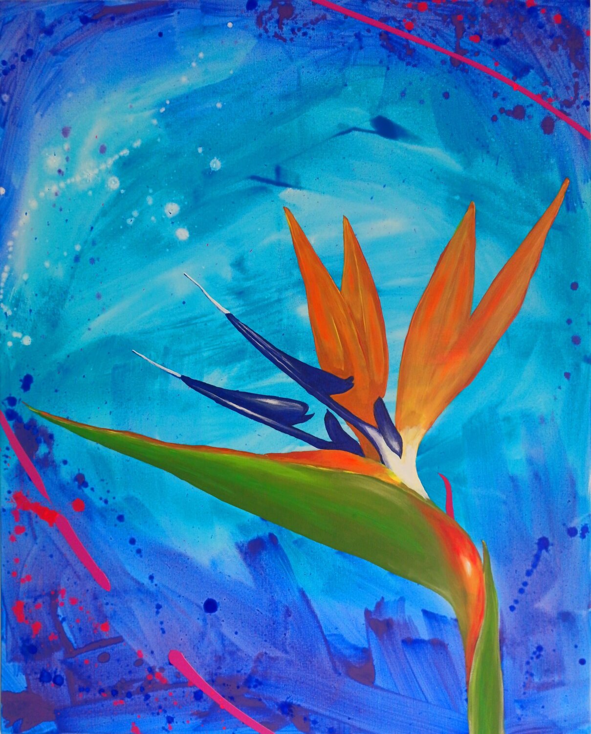 Paradise bird Eliana Sá