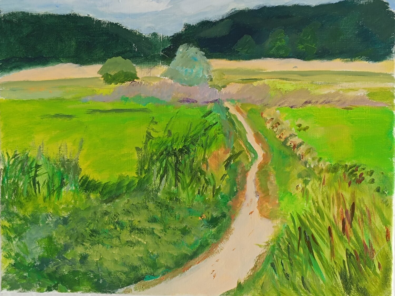 Feldweg Andreas Reis