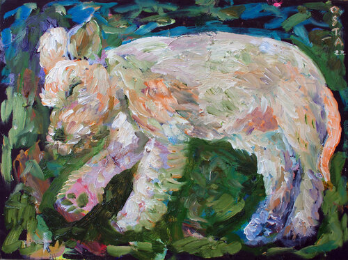 Sleeping Puppy Andrew Osta