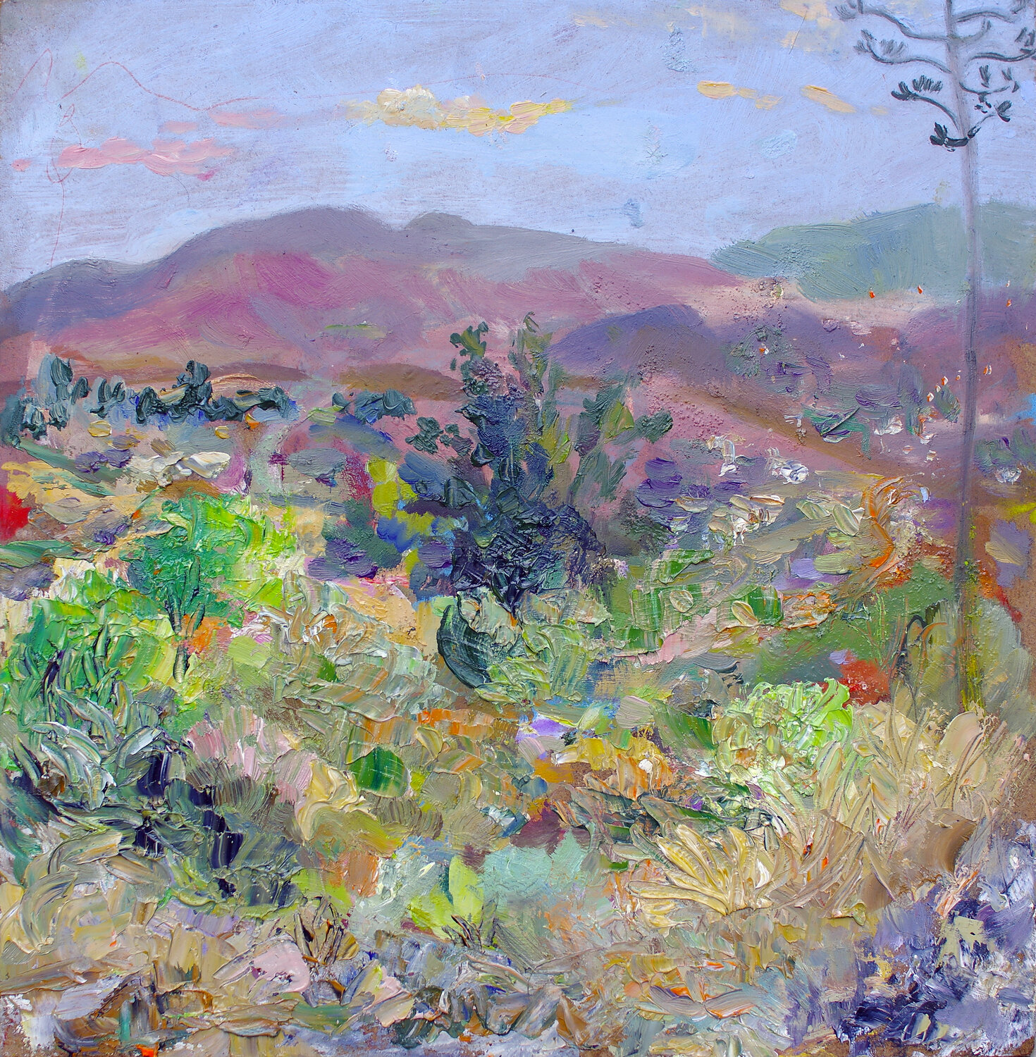 Oaxaca Around Sunset Andrew Osta