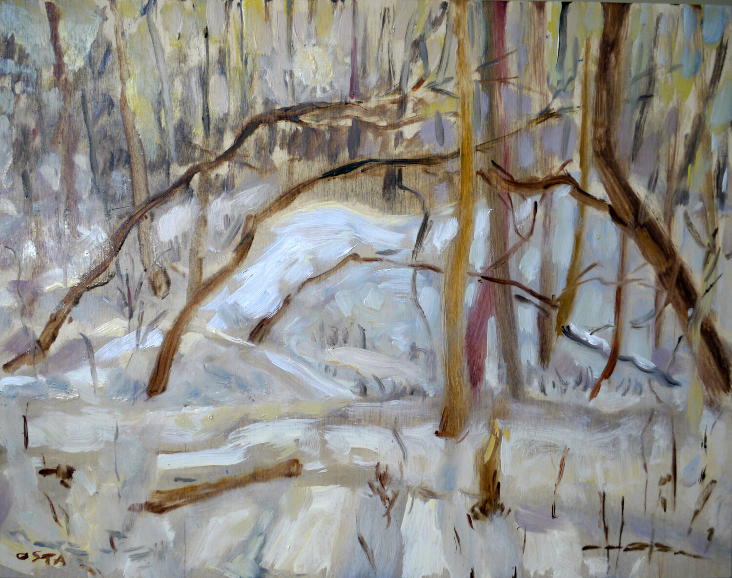 Ancaster Woods Andrew Osta