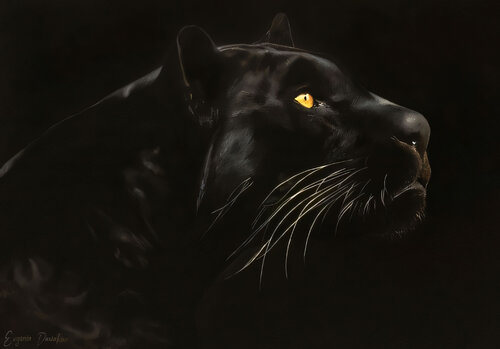 The Black Panther by Evgeniya Duvakina, Painting for Sale on Singulart
