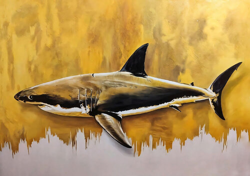 Yellow Shark Evgeniya Duvakina