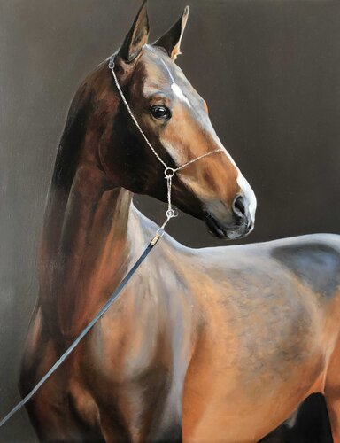 Noble Grace — Exclusive Equine Portrait von Evgeniya Duvakina, Malerei kaufen auf Singulart