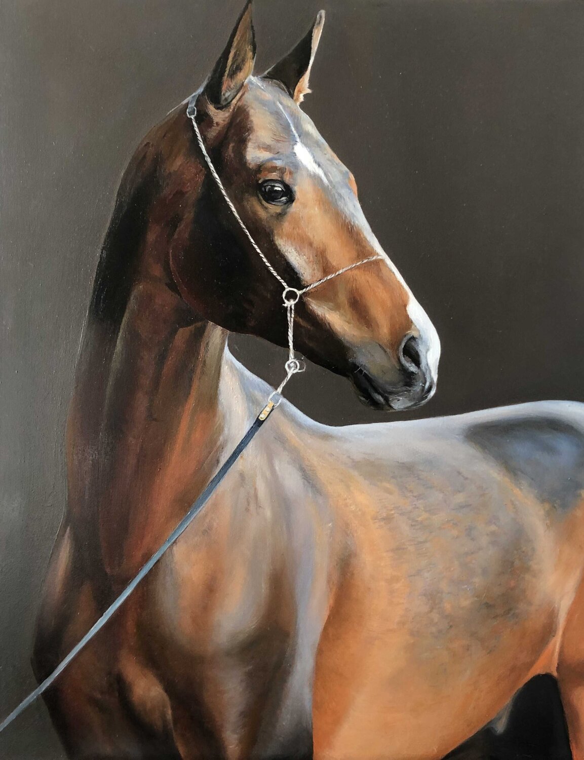 Noble Grace — Exclusive Equine Portrait Evgeniya Duvakina Originalgemälde zu verkaufen