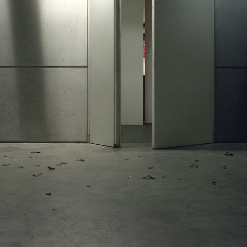 n.t. (The Chase/ Lock grey) by Sarah Straßmann, 사진 for Sale on Singulart