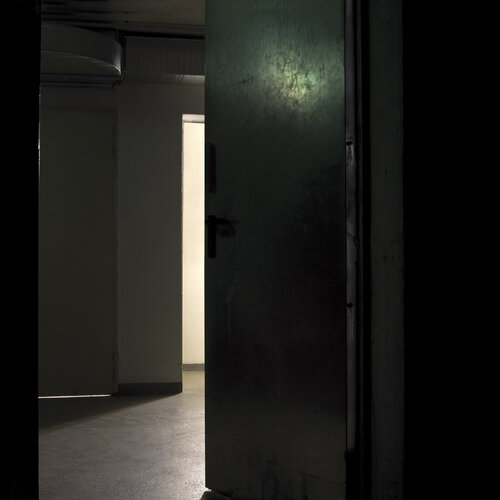 n.t. (The Chase/ Cellar green) by Sarah Straßmann, 사진 for Sale on Singulart