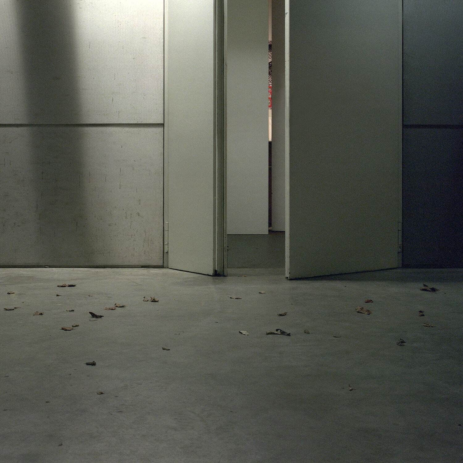 n.t. (The Chase/ Lock grey) Sarah Straßmann