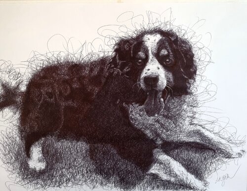 Dog Portrait von Inga Yarotskaya, Zeichnungen kaufen auf Singulart