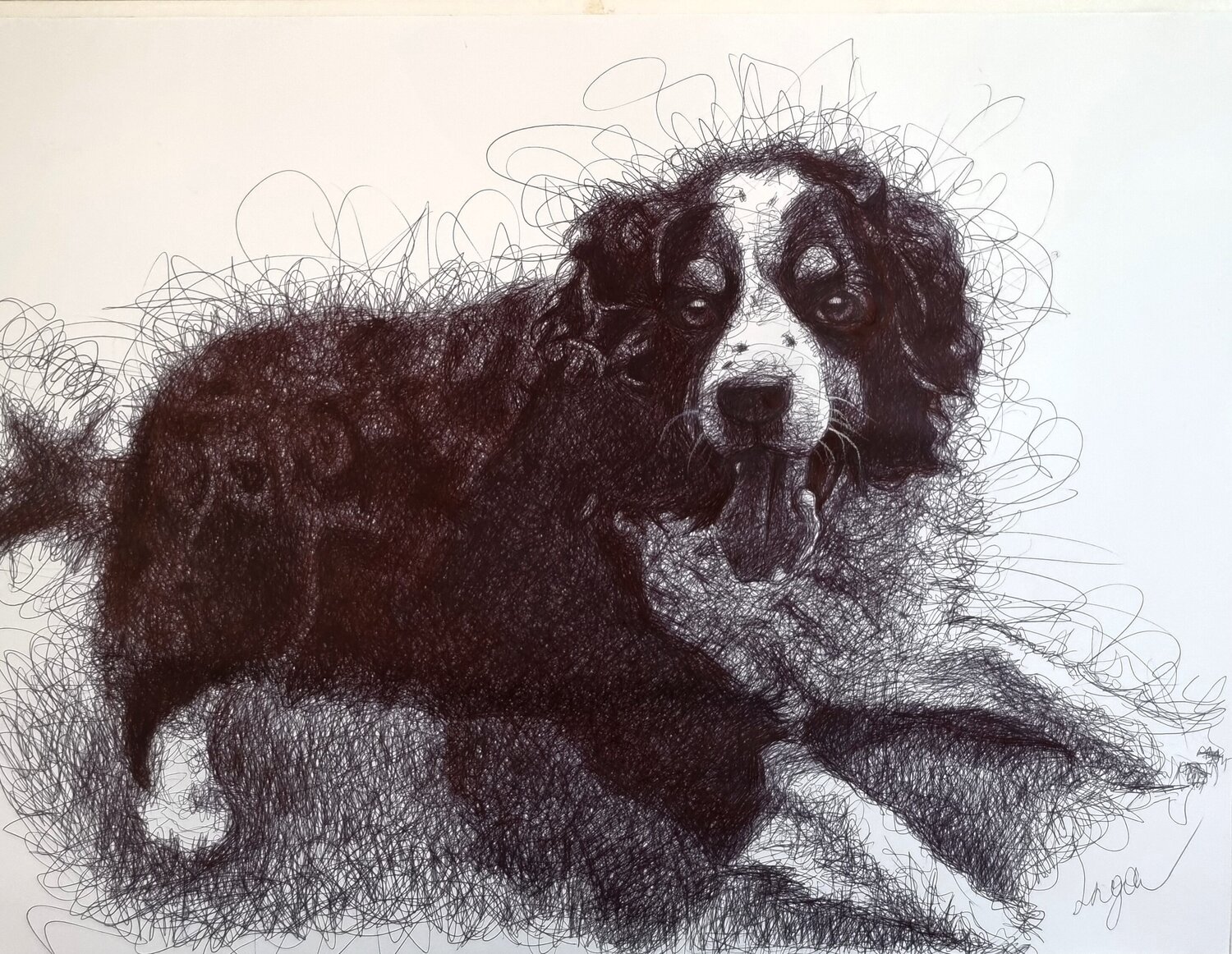 Dog Portrait Inga Yarotskaya