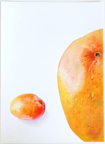 Flavors. Mango. by igor kotlarski, 소묘 for Sale on Singulart