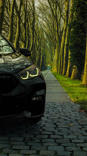 Guardian of the Path von Lucas Biston Reichling, Fotografie kaufen auf Singulart