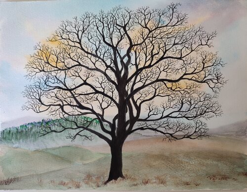 Winter Oak -early morning de Paula Swenson, Pintura a la venta en Singulart