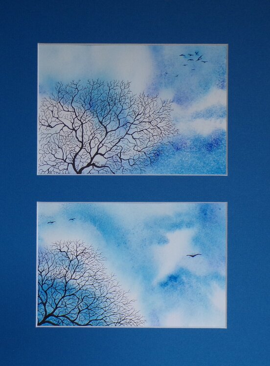 Sky Poetry Paula Swenson