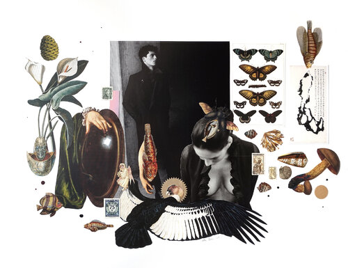 #109 by Wibke Brode, Work on Paper for Sale on Singulart