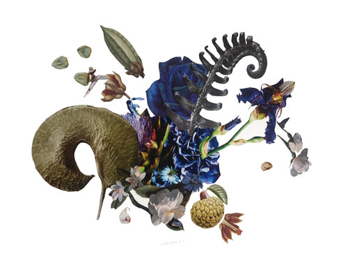 #102 by Wibke Brode, Work on Paper for Sale on Singulart