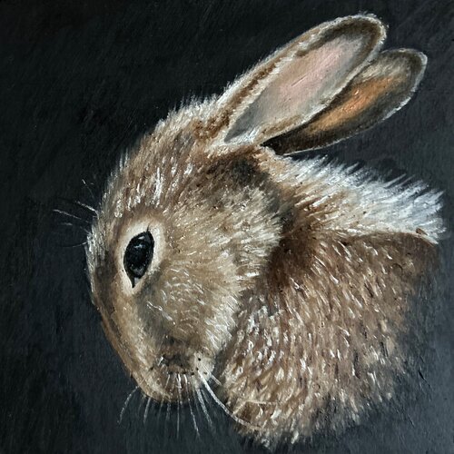 #310 Hase by Wibke Brode, Painting for Sale on Singulart