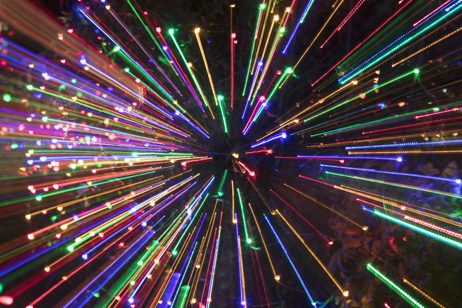 Burst Carol Schiraldi