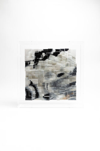 Fascination - Graphium androcles van Yann Crenn, Schilderij te koop op Singulart