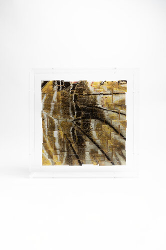 Fascination - Anetia thirza II van Yann Crenn, Schilderij te koop op Singulart