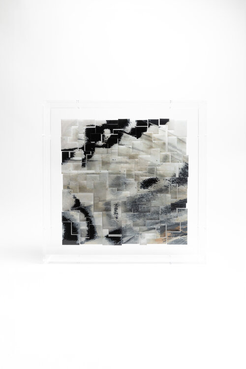 Fascination - Graphium androcles Yann Crenn