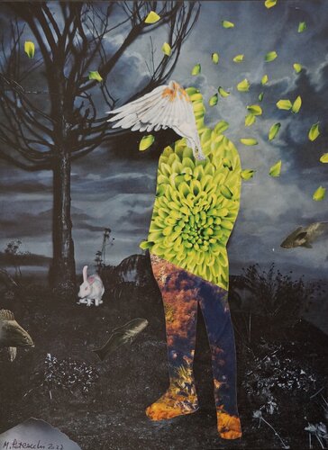 Ferma quella ali,mi stai distruggendo... van MARCELLO PETRACCHI, Werk op papier te koop op Singulart