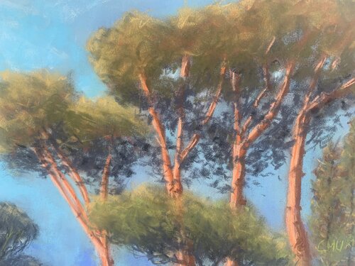 Sundown and Light on the Trees at Lazio, Rome by Carol Murphy, Painting for Sale on Singulart