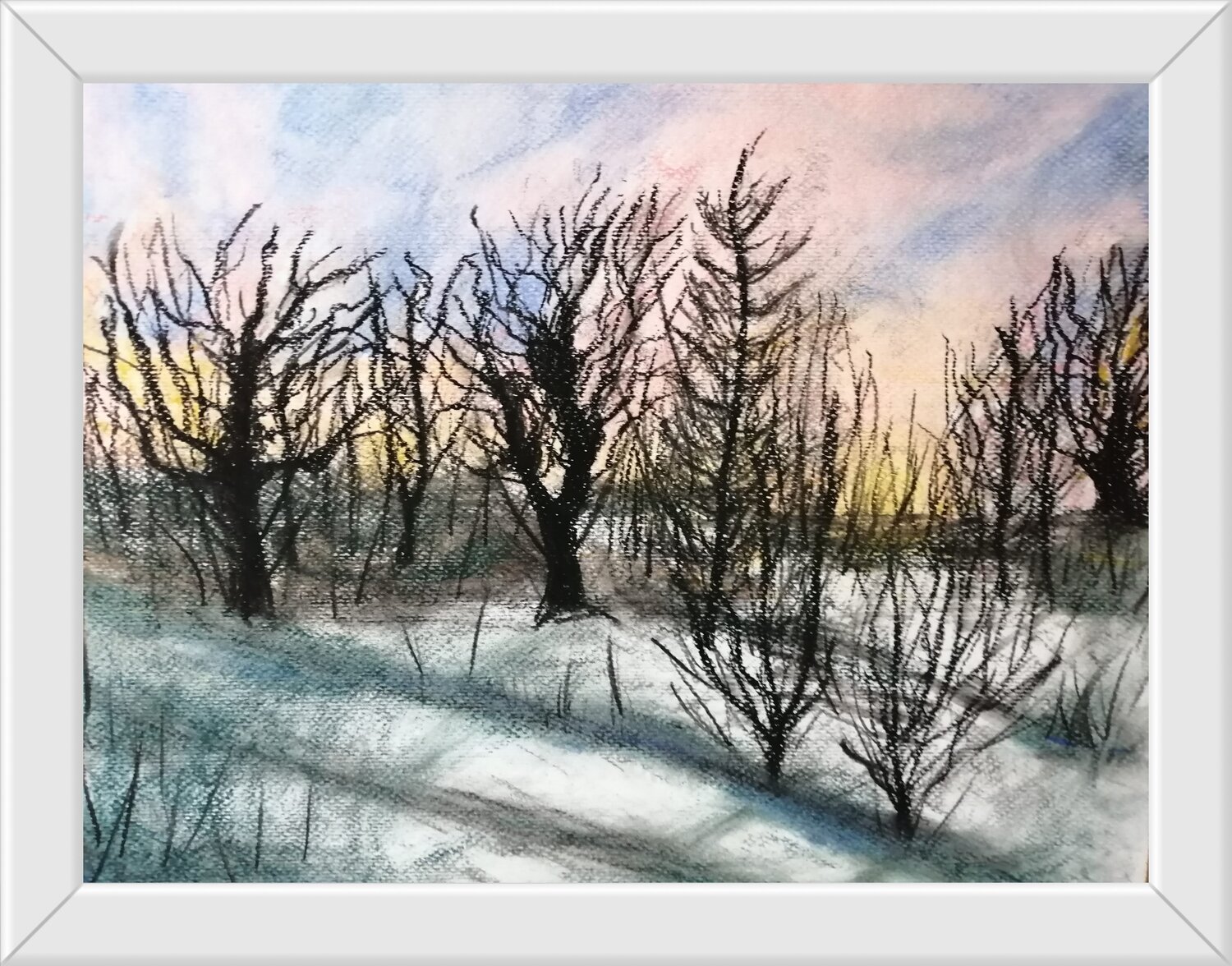 Stripped Bare Trees and Shadows in the Snow Carol Murphy
