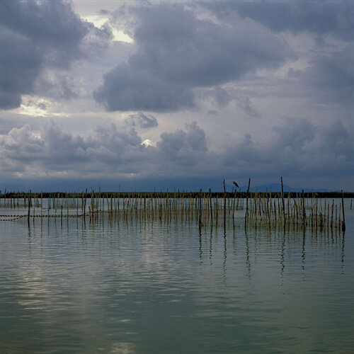 Parc Natural de l'Albufera de València, Spain 2014 di Michel Meijer, Fotografia in vendita su Singulart