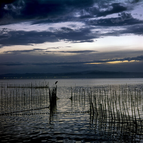 Parc Natural de l'Albufera de València, Spain 2014 von Michel Meijer, Fotografie kaufen auf Singulart