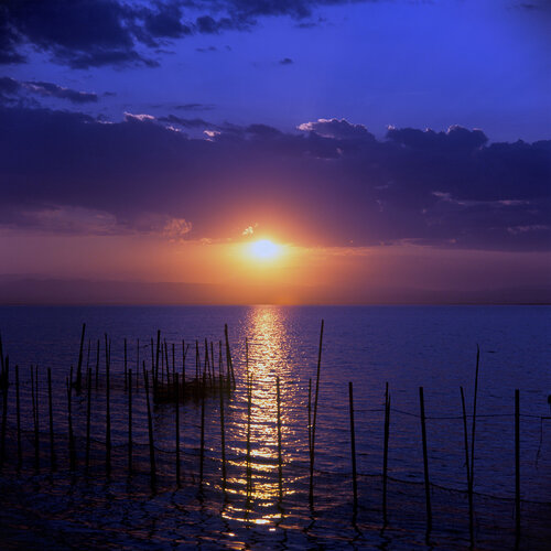 Parc Natural de l'Albufera de València, Spain 2015 di Michel Meijer, Fotografia in vendita su Singulart