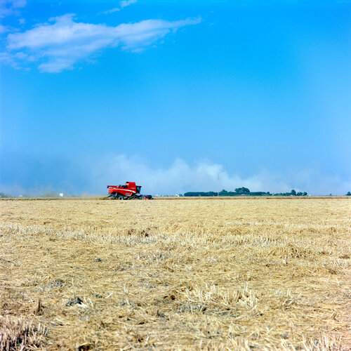 Parc Natural de l'Albufera de València, Spain 2015 van Michel Meijer, Fotografie te koop op Singulart