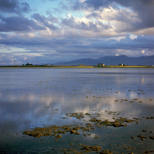 Parc Natural de l'Albufera de València, Spain 2022 di Michel Meijer, Fotografia in vendita su Singulart