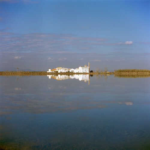 Parc Natural de l'Albufera de València, Spain 2022 von Michel Meijer, Fotografie kaufen auf Singulart