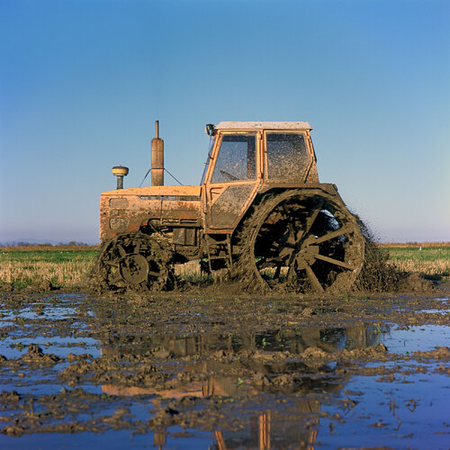 Parc Natural de l'Albufera de València, Spain 2022 van Michel Meijer, Fotografie te koop op Singulart