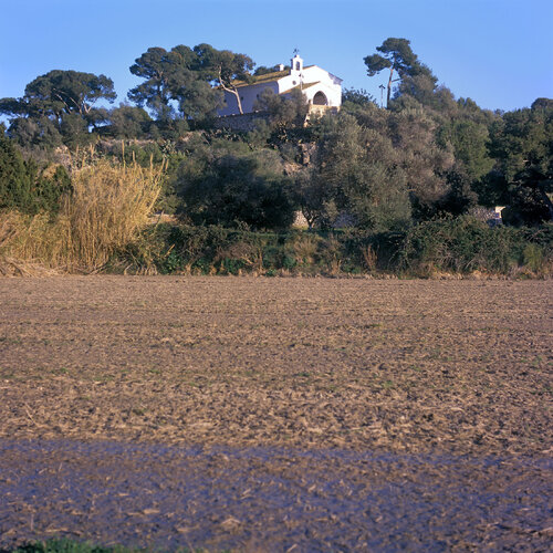 Parc Natural de l'Albufera de València, Spain 2022 van Michel Meijer, Fotografie te koop op Singulart