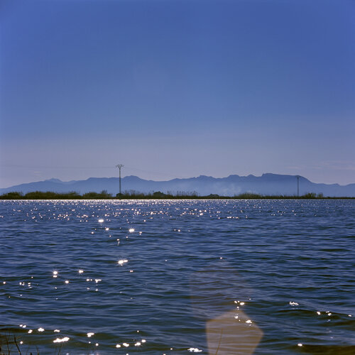 Parc Natural de l'Albufera de València, Spain 2022 di Michel Meijer, Fotografia in vendita su Singulart