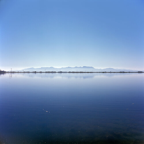 Parc Natural de l'Albufera de València, Spain 2022 von Michel Meijer, Fotografie kaufen auf Singulart