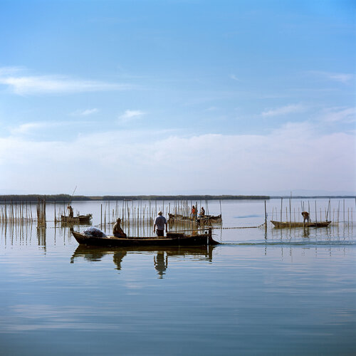 Parc Natural de l'Albufera de València, Spain 2014 von Michel Meijer, Fotografie kaufen auf Singulart